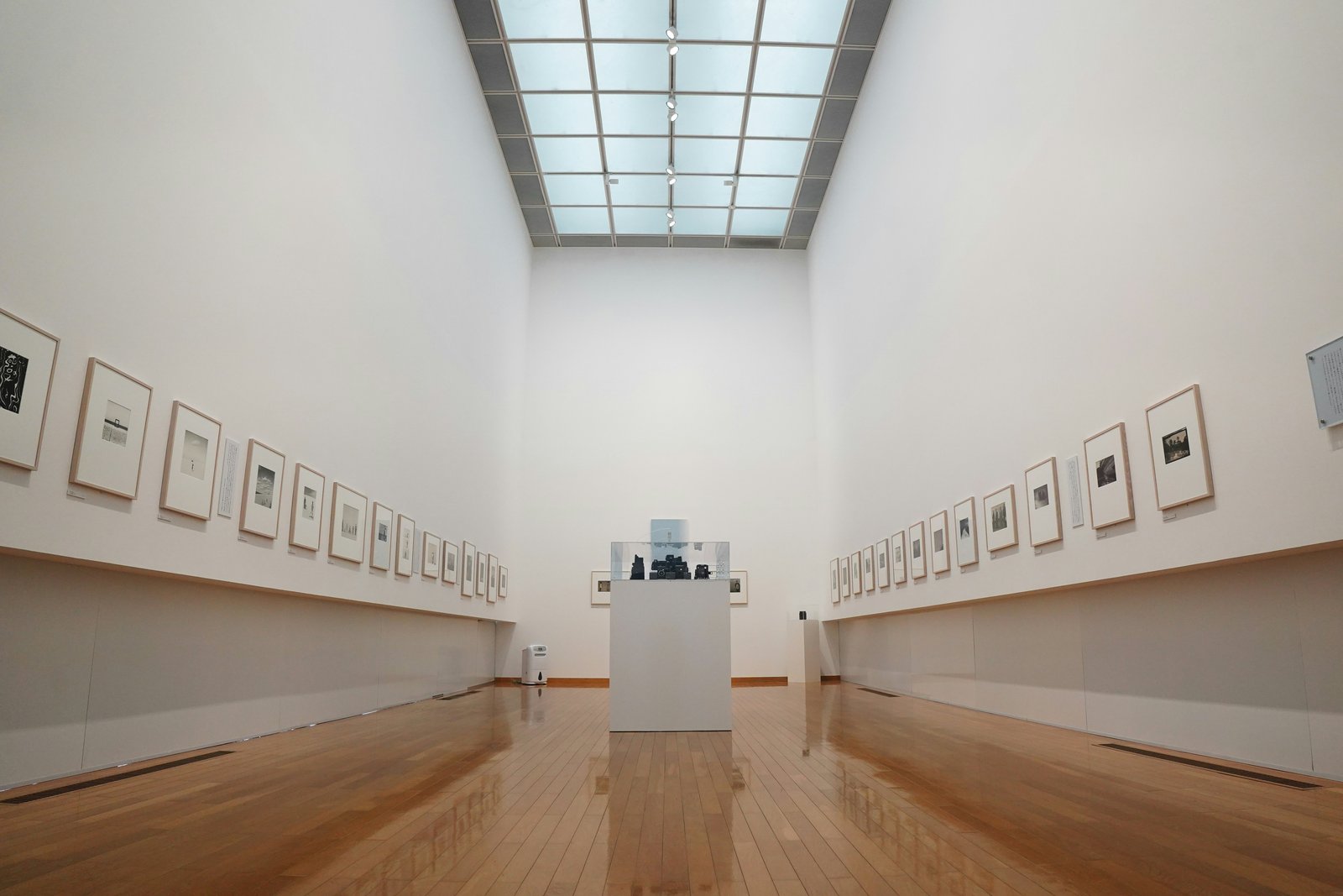 Immagine illustrativa: Galerie Isabel Bilbao